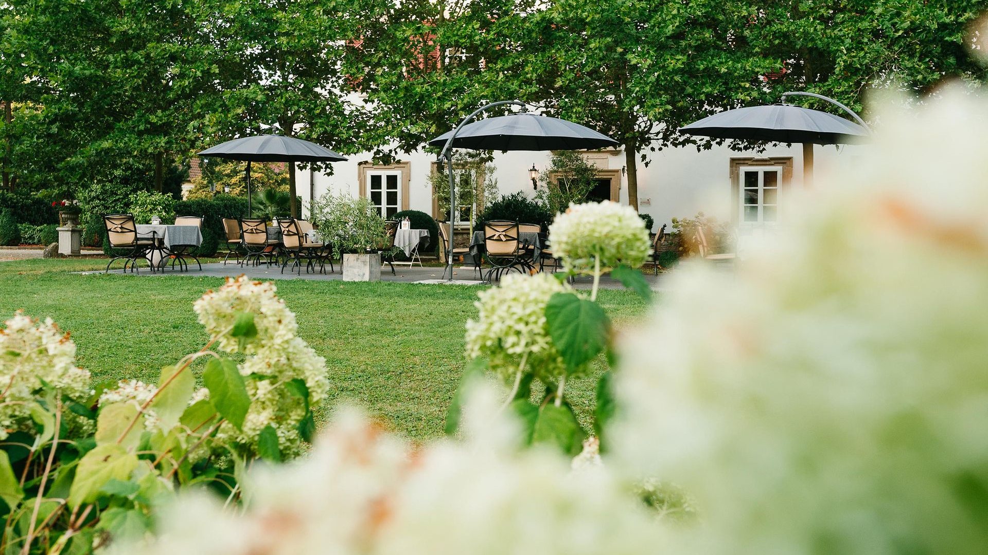 Blick durch den Schlosspark auf die Terrasse des Hotels Schloss Lehen